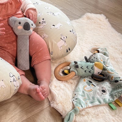 Nuby Animal Adventure Gavesett
