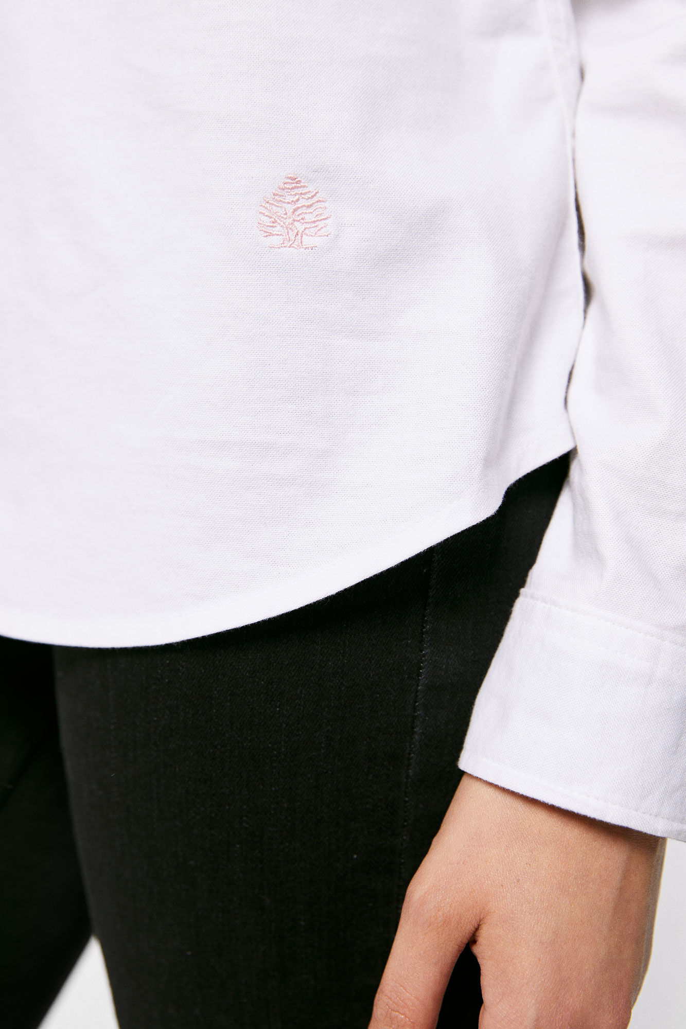 Camisa Oxford de Algodão