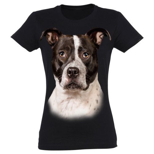 Camiseta feminina Pitbull, preta