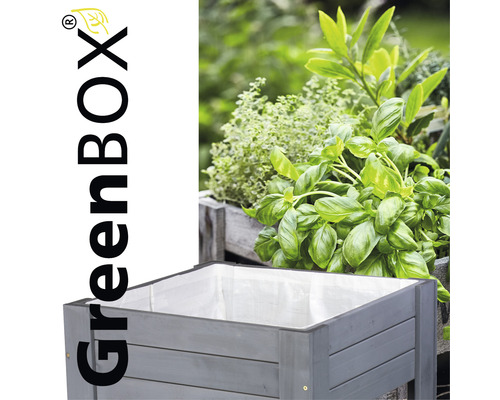 Verhoogd tuinbed op palen Wagner System Green Box Light 53,5 x 53,5 x 70 cm grijs