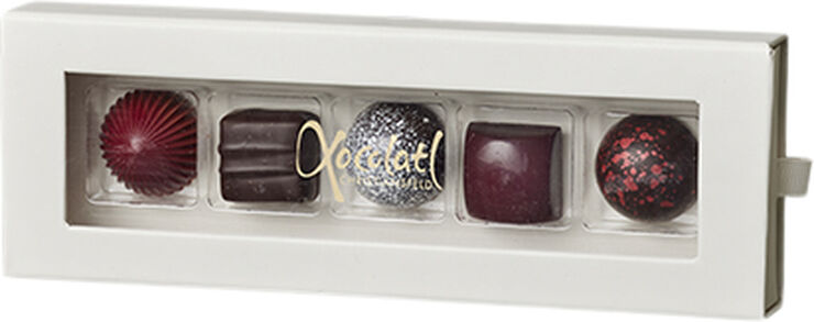 Xocolatl CHRISTIANSFELDER STAR 5 No_color