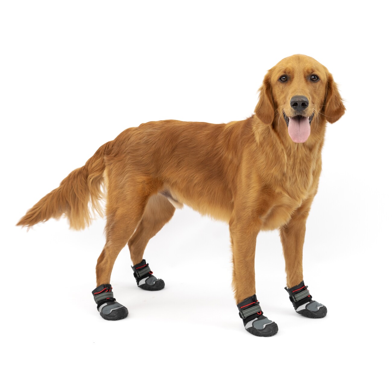 Kurgo Hundeschuhe Blaze Cross- M