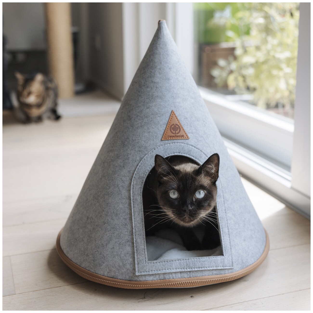 Canadian Cat Company Katzenzelt Cone