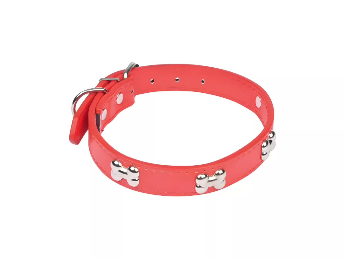 Collier Fantaisie pour Chien 