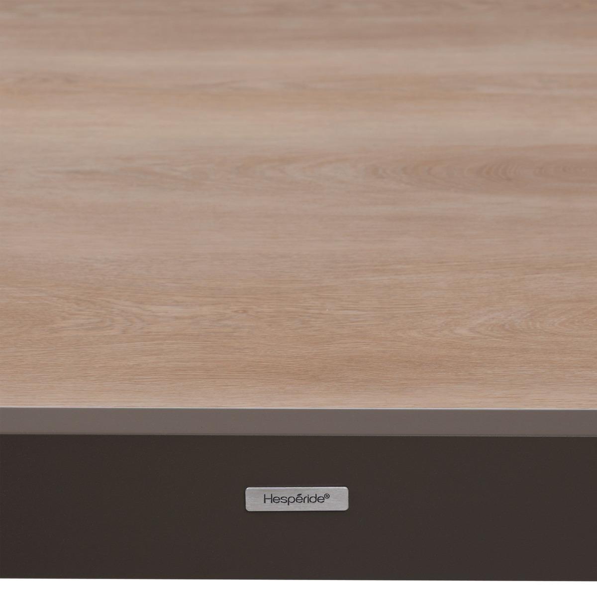 TABLE PIAZZA EXTENSIBLE ALUMINIUM HOUBLON 12 PLACES