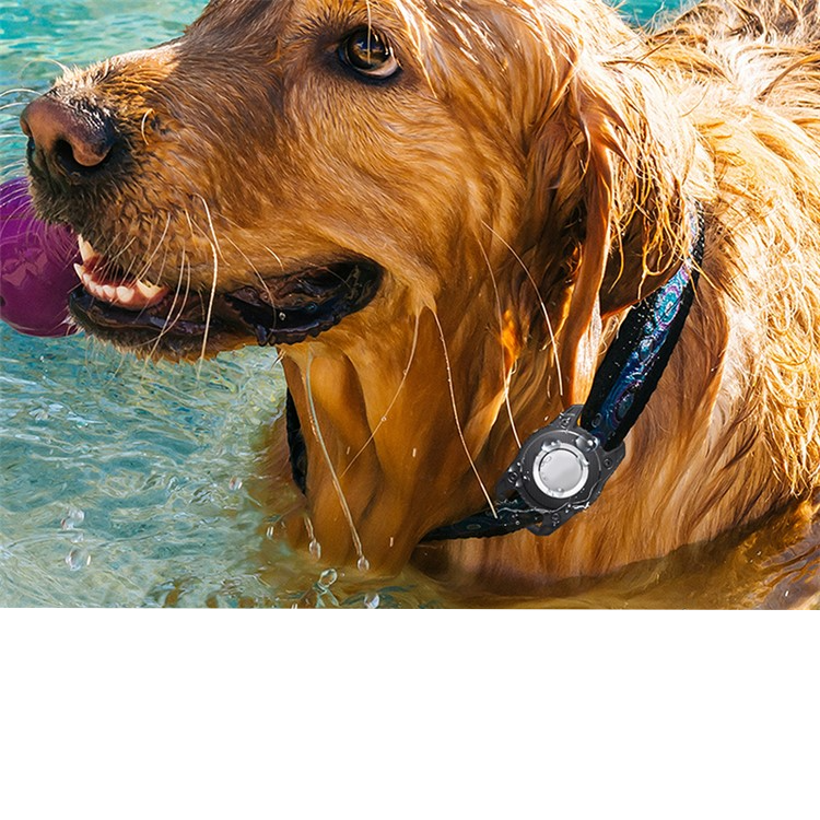Apple AirTag Hardcase Hülle Halsband Halterung für Haustiere IP67 (Hund / Katze) - Schwarz