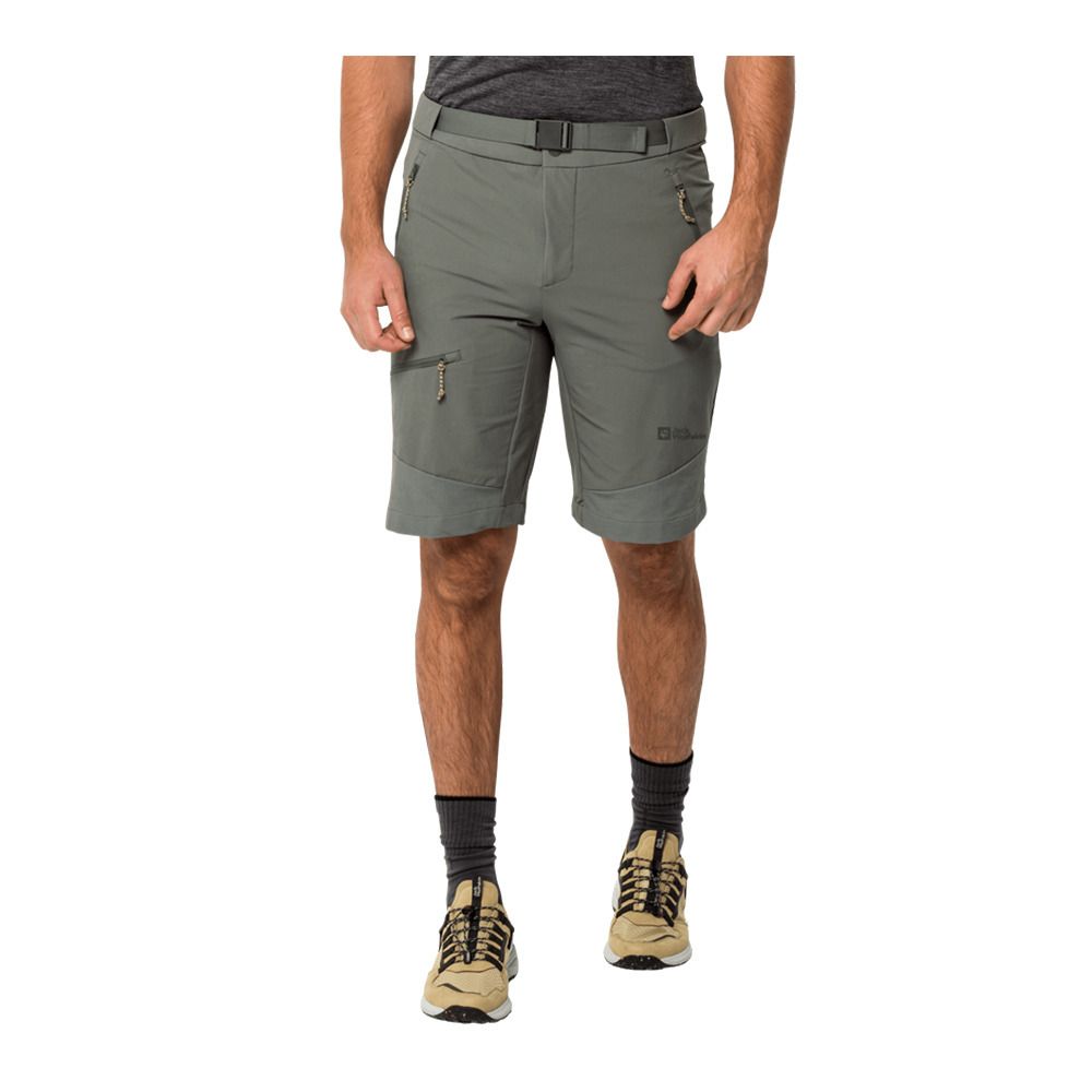 Jack Wolfskin ZIEGSPITZ - Short Homme gecko green