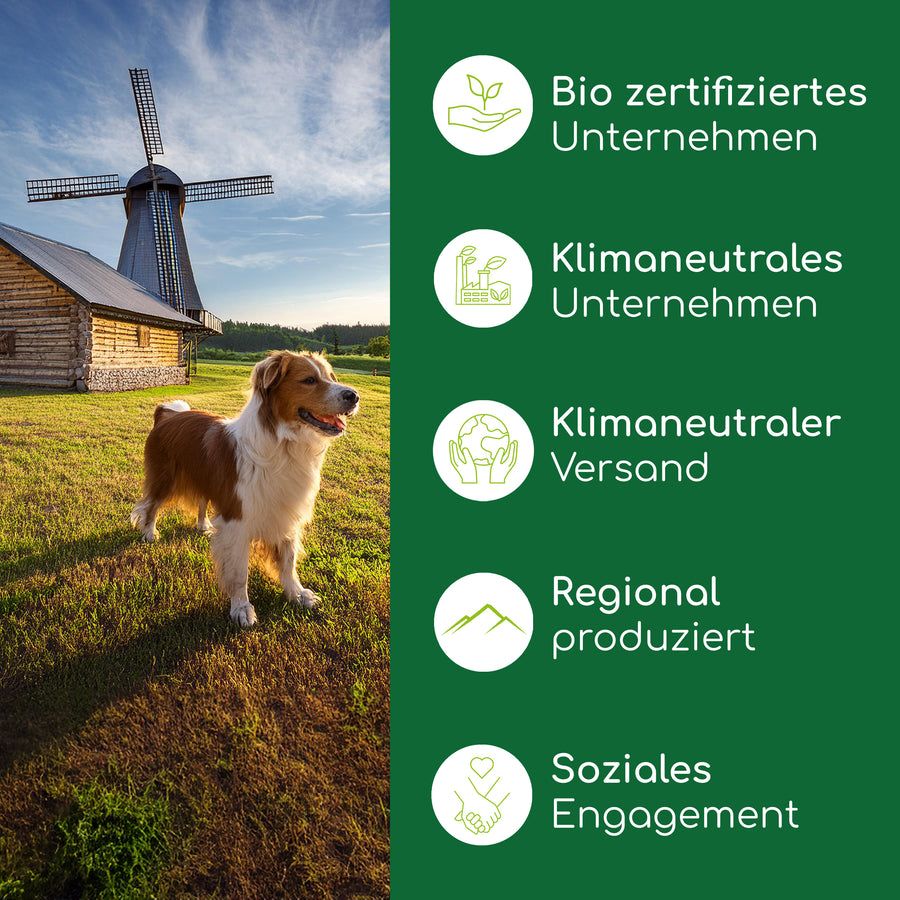 Wolfsbacher Natur Bio Hanföl