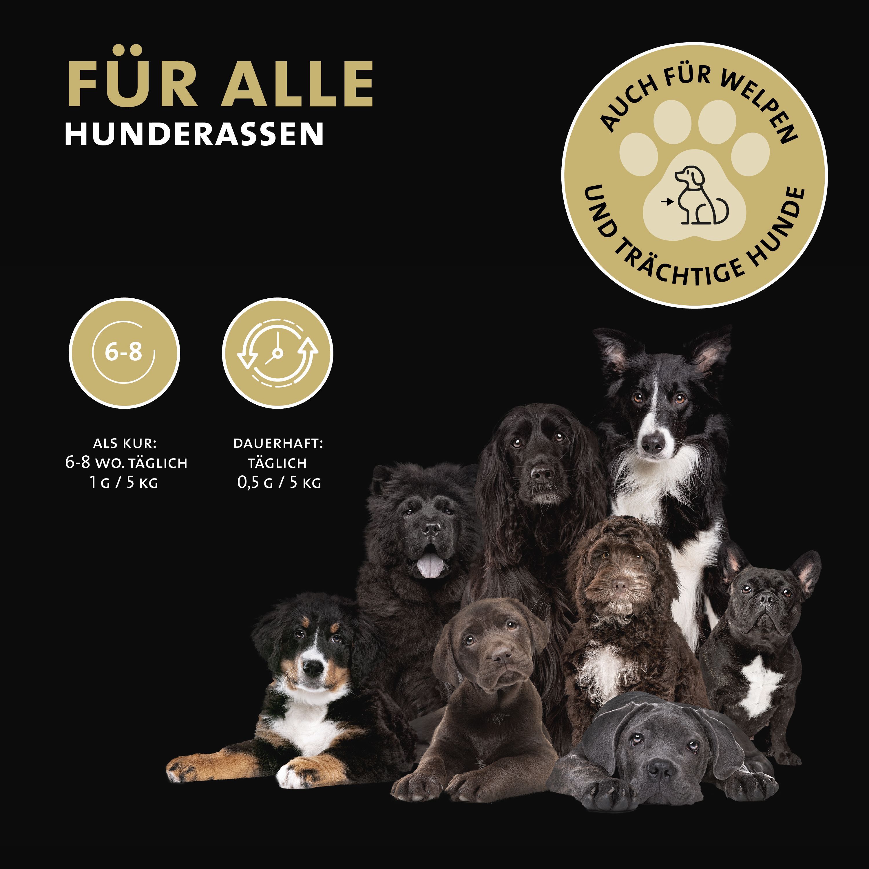 Peticare Probiotika & Präbiotika Pulver für Hunde, Darm-Sanierung, Darmflora