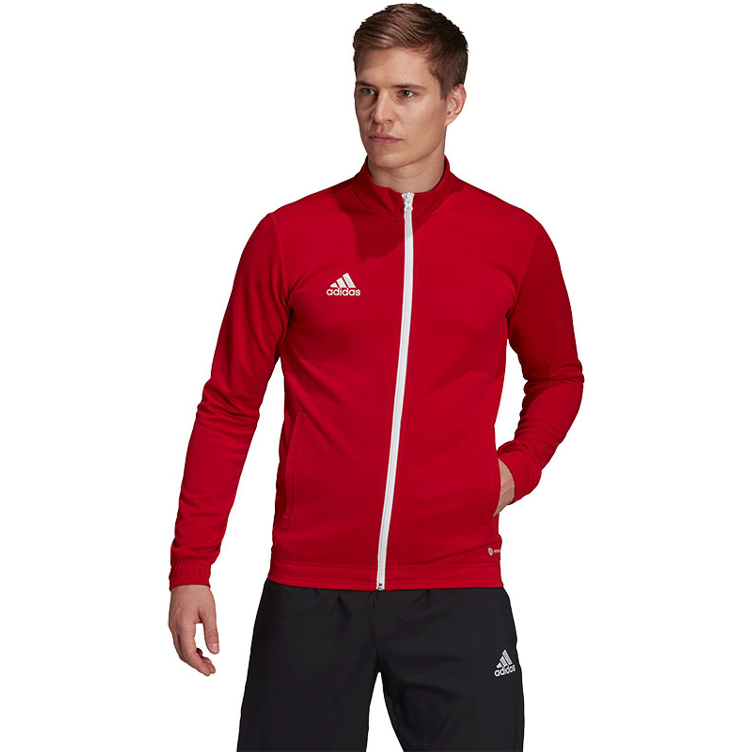 adidas Entrada 22 TK Trainingspak