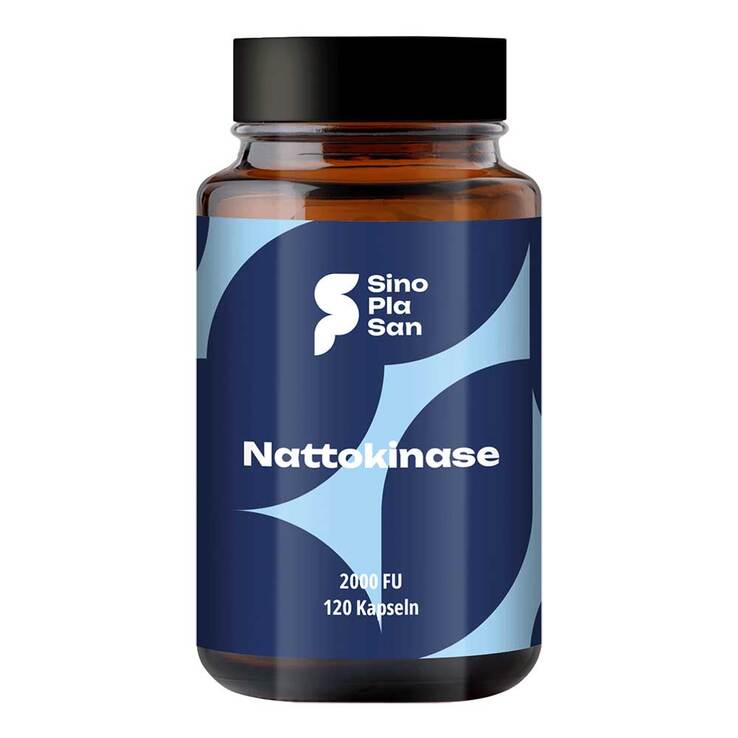 Nattokinase 100 mg Mono 20.000 FU Kapseln, 120 St