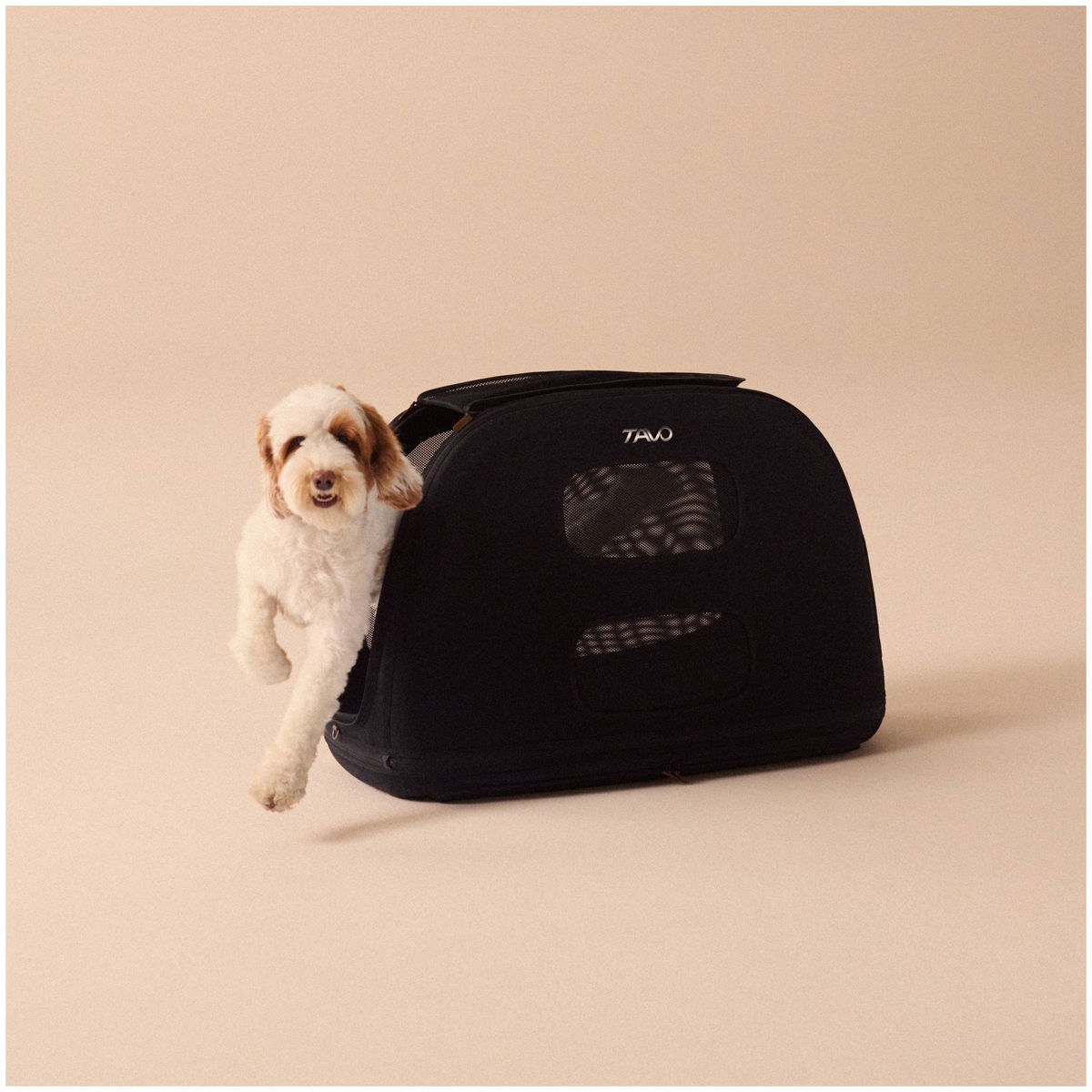 Tavo PetsTavo Pets   Crispin Transportbox onyx Large