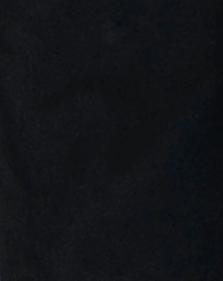 Baumwollhose TRISTAN in navy