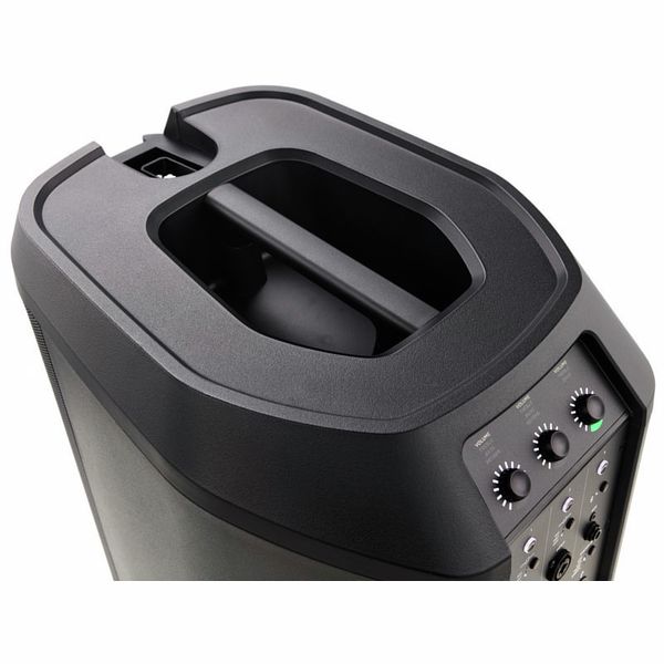 Bose L1 Pro16 Tonematch Bundle