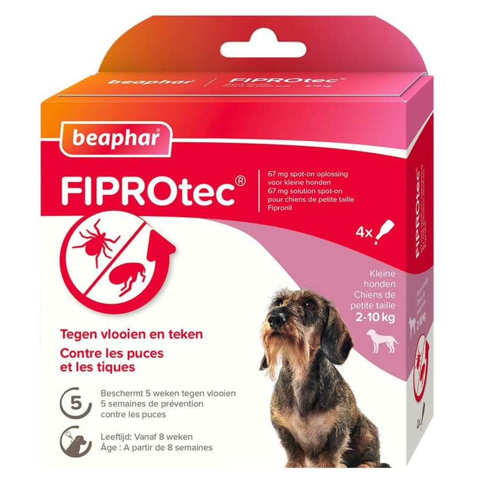 Beaphar Fiprotec Anti Teken- en Vlooiendruppels Hond 2 - 10 kg4 stuks