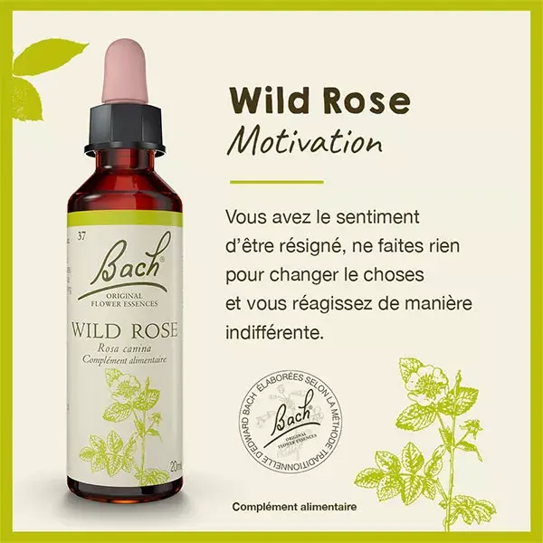 Fleurs de Bach Original - Wild Rose 20ml