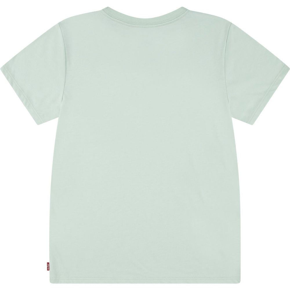 Køb Levi's Celadon Lvg Batwing Tee