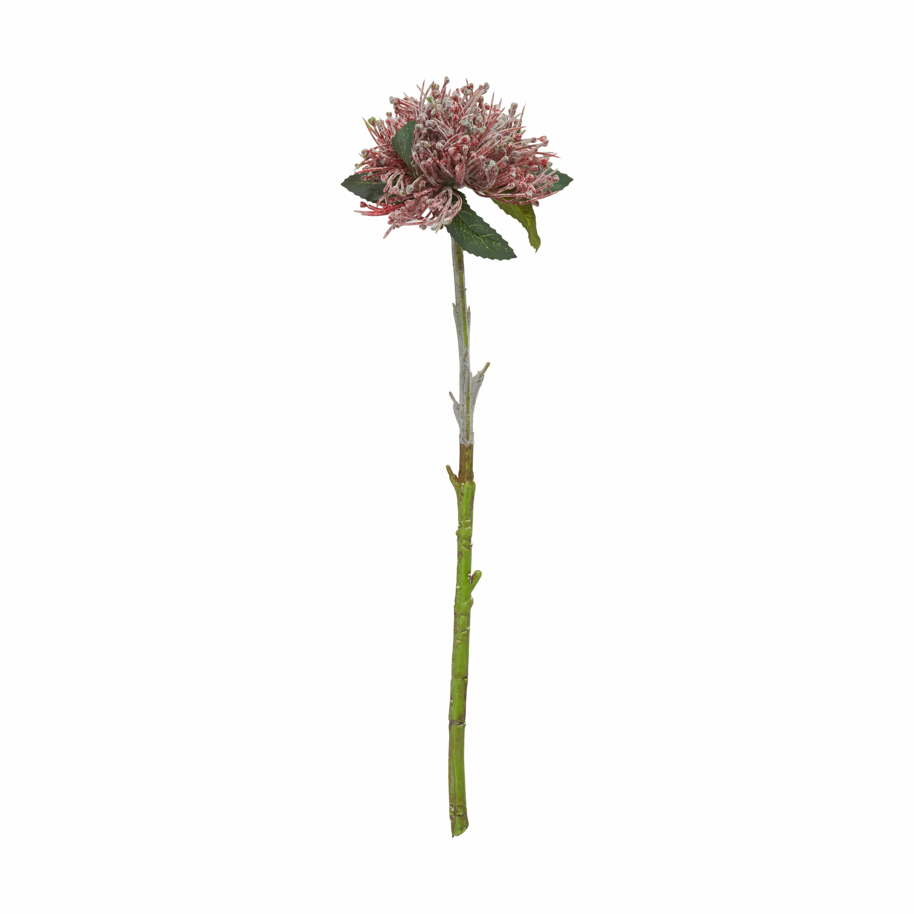 Speedtsberg Kunstig Blomst - Protea
