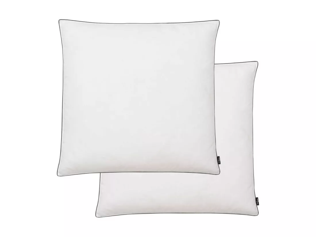 Oreiller 2 pcs Remplissage de duvet 80x80 Blanc