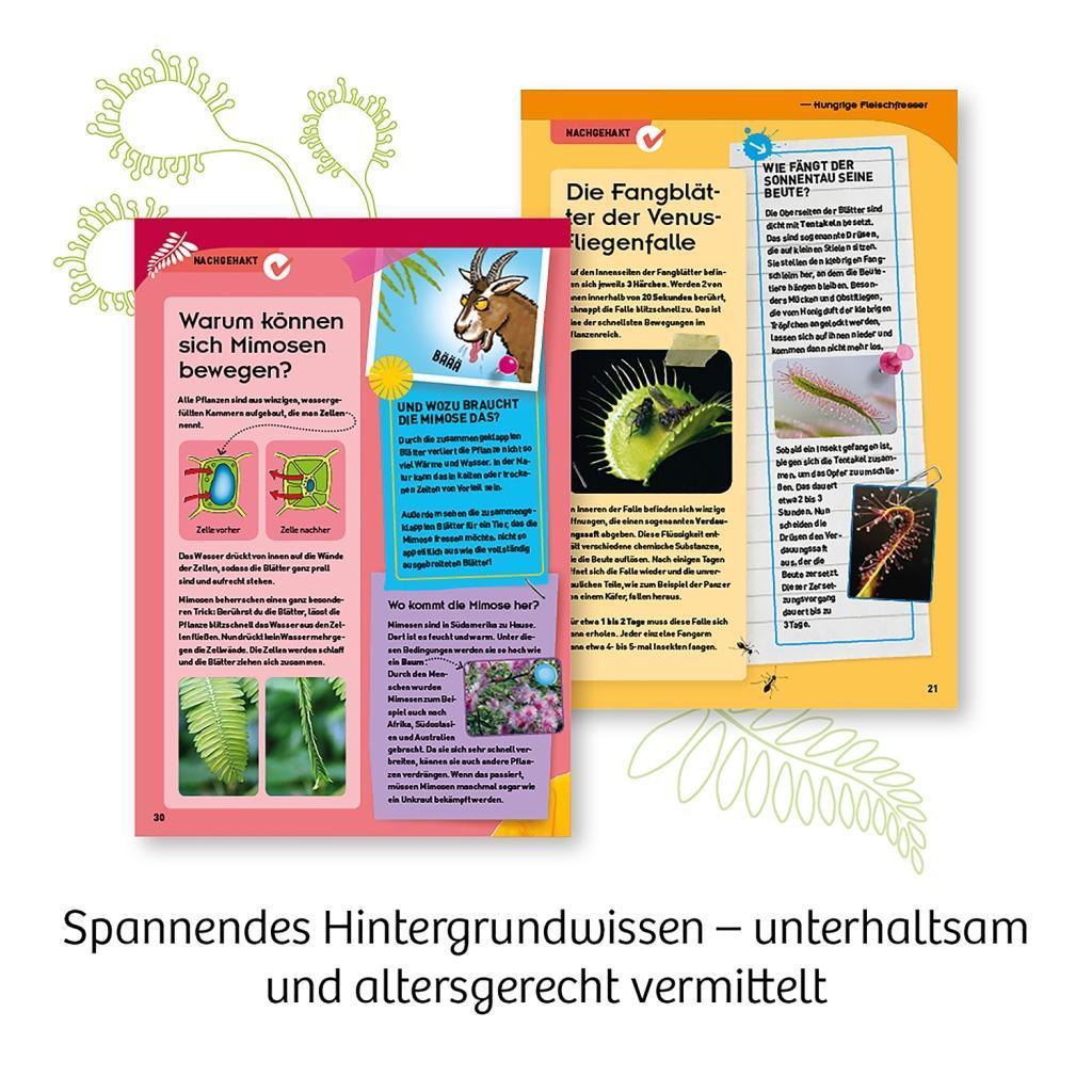 Kosmos Experimentierkasten 