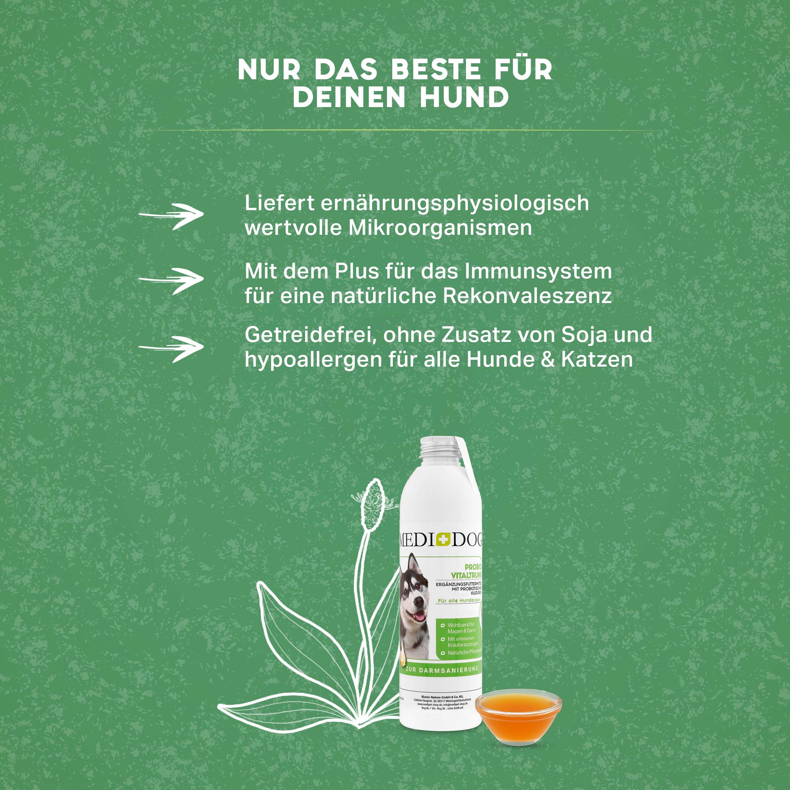 MEDIDOG Probio Vitaldrunk