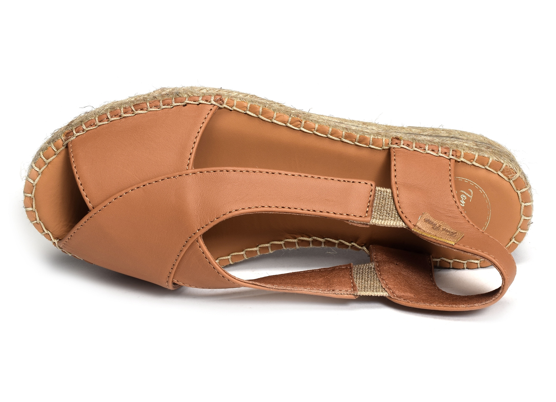 Elda camel