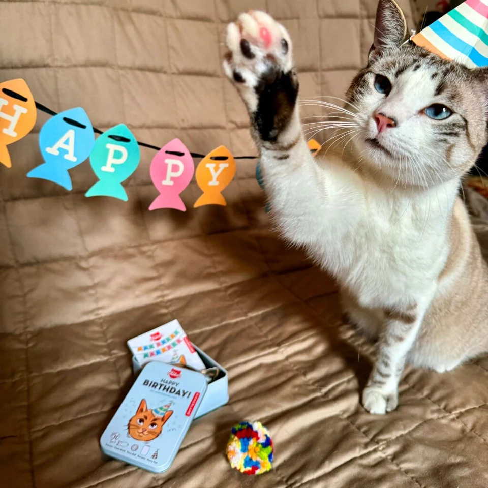 Happy Birthday Cat Tin