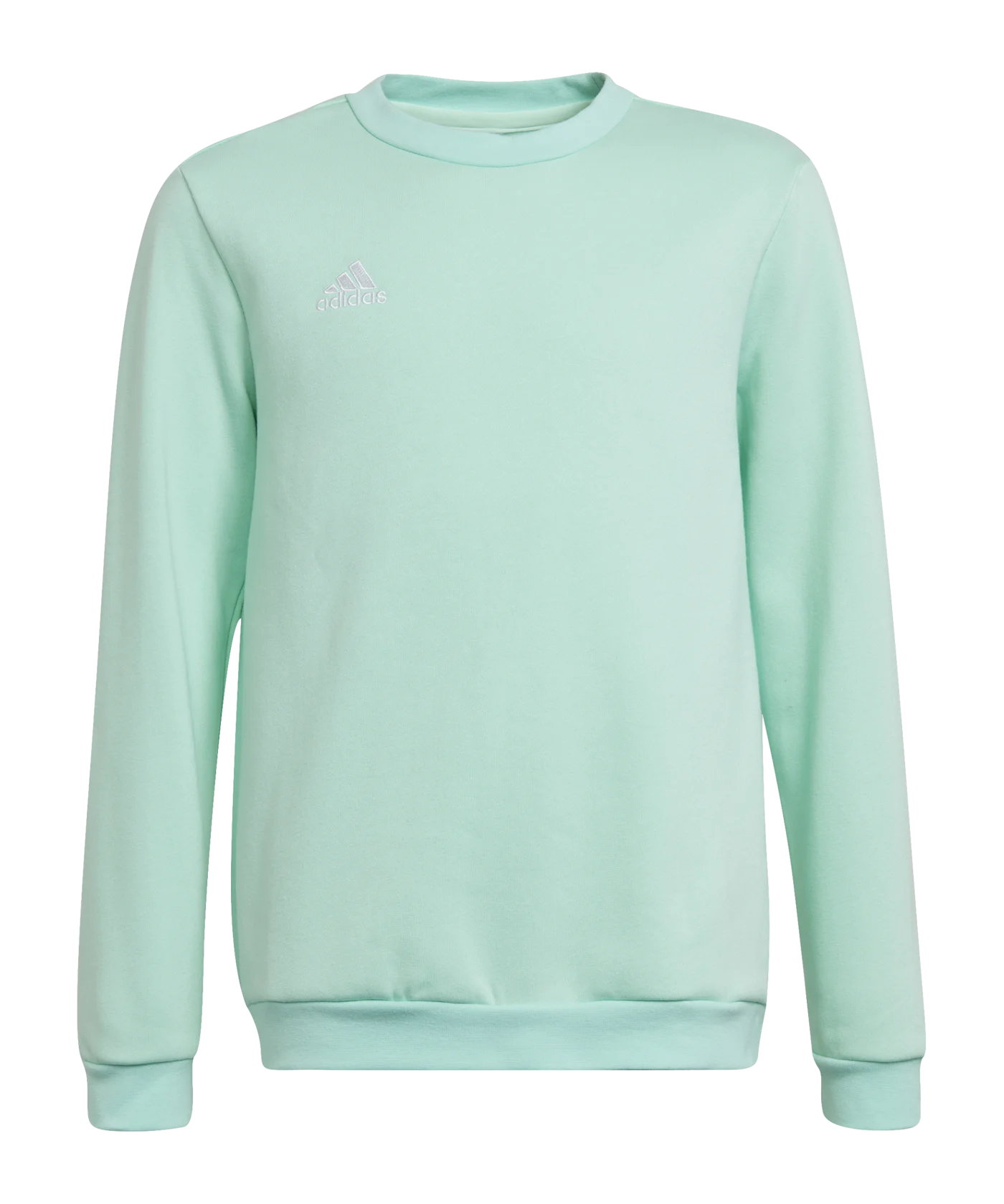adidas Entrada 22 Sweatshirt Kids Türkis