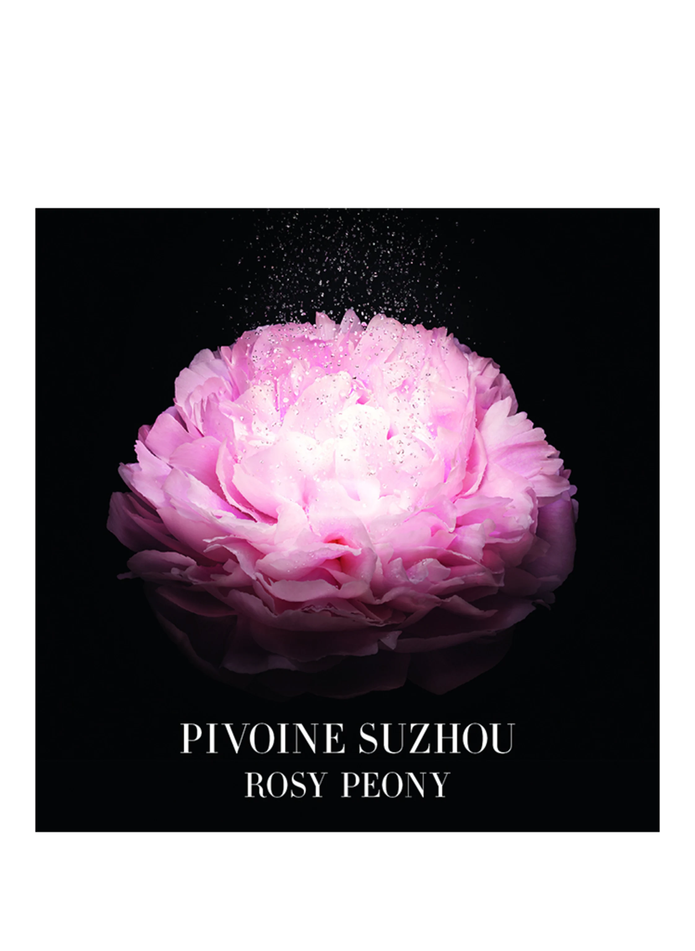 ARMANI PRIVÉ PIVOINE SUZHOU