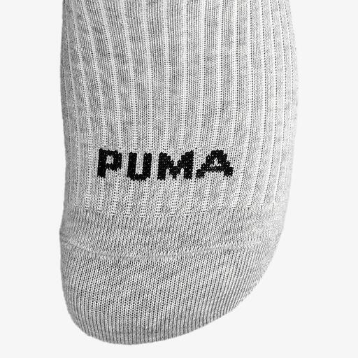 Gato Puma