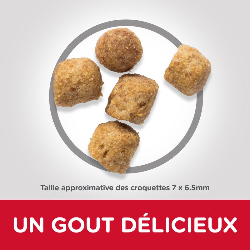 Hill's Science Plan Adult agneau, riz - bitiba.fr