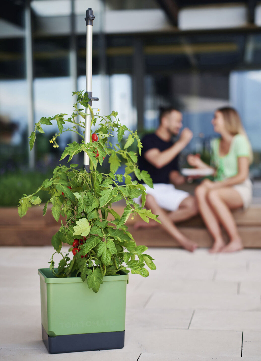 Gusta Garden Tom Tomato mit Bewässerungssystem