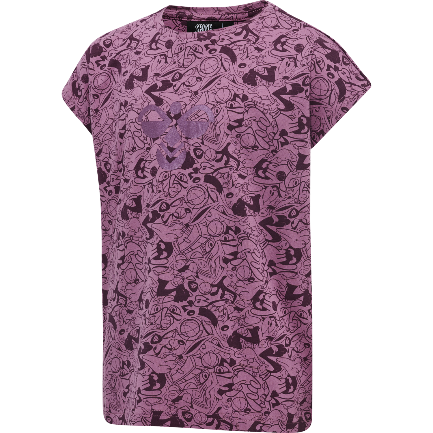 hmlSPACE JAM DIEZ T-SHIRT S/S