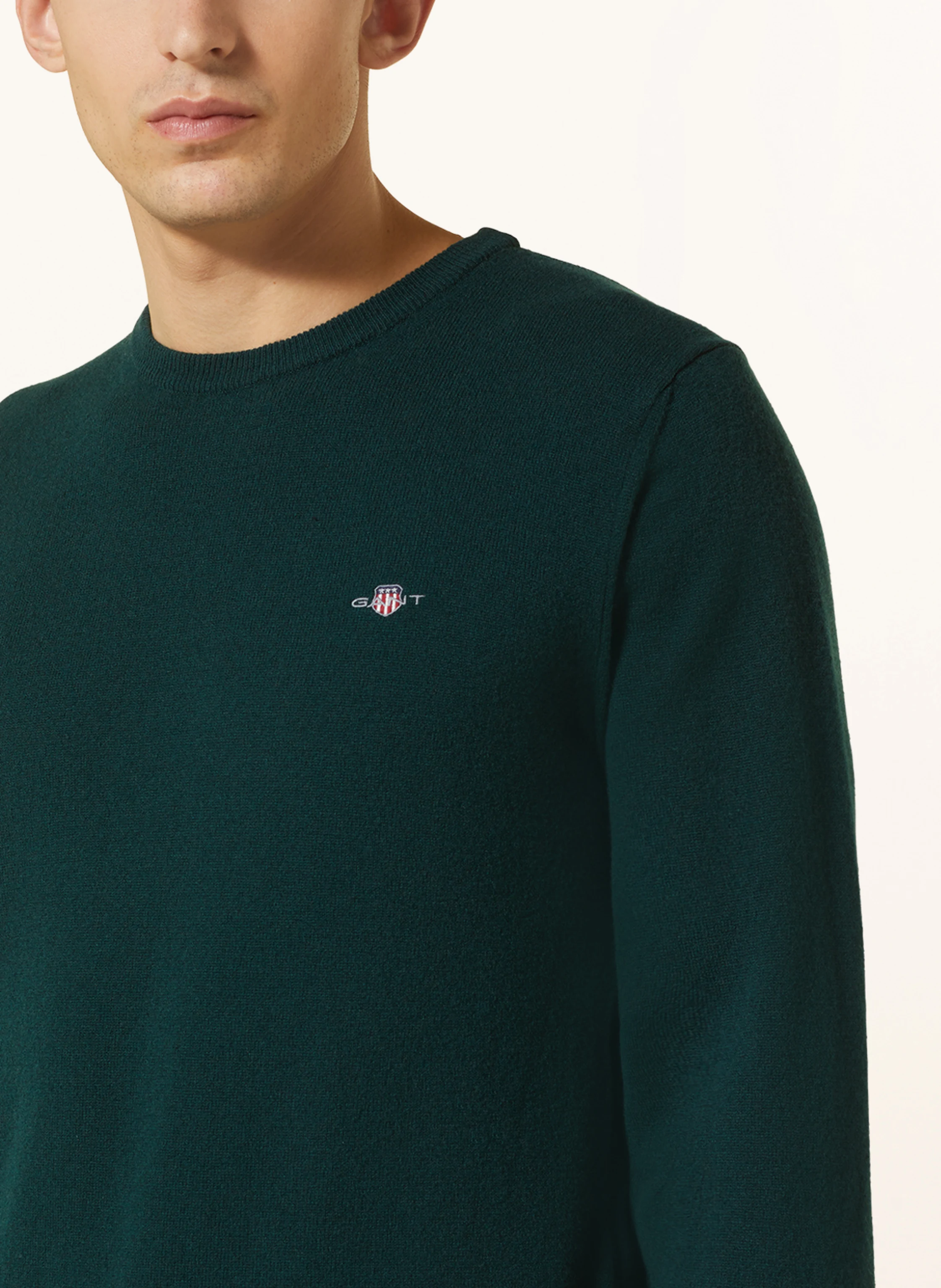 GANT Pullover
