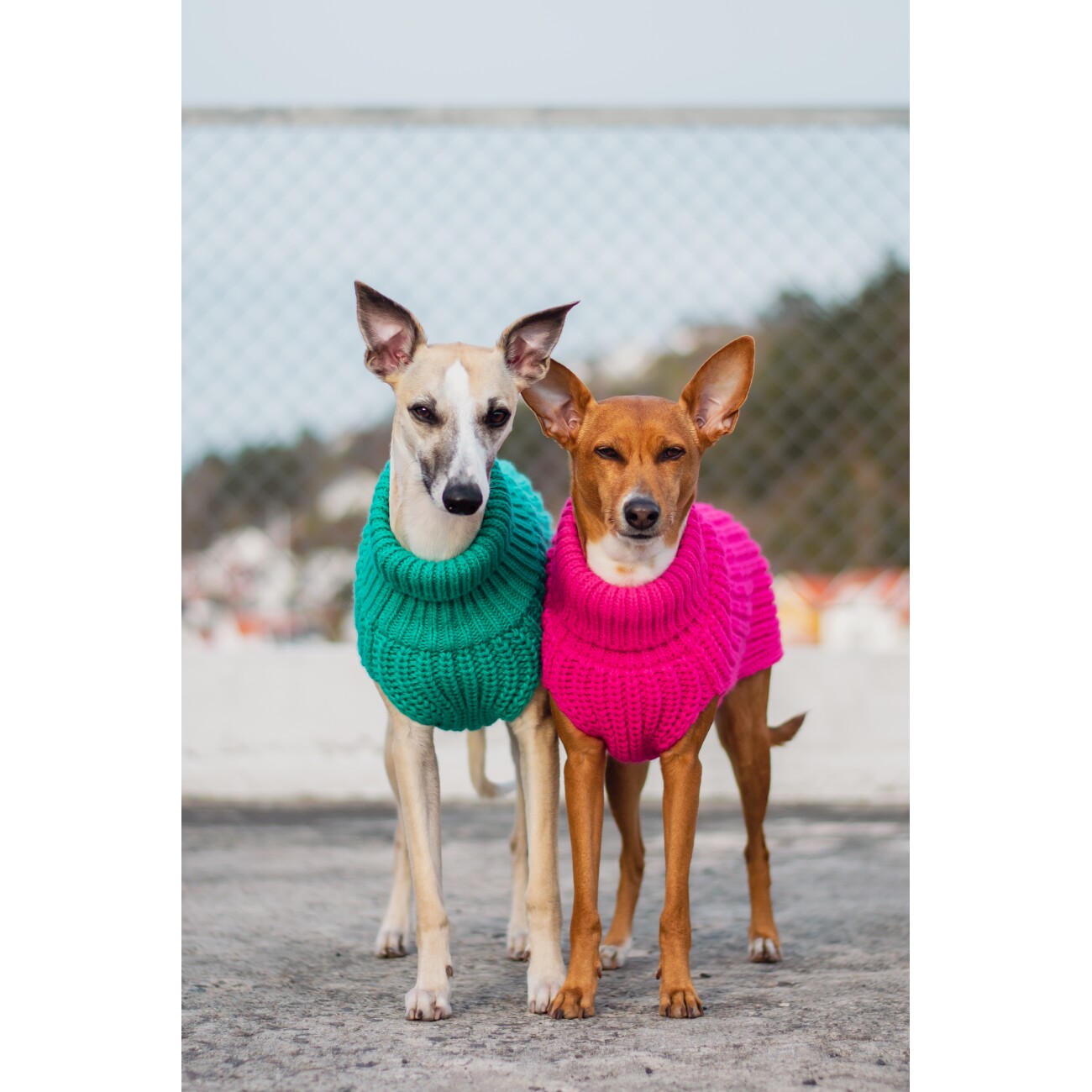 Paikka Knit Sweater green 40 cm