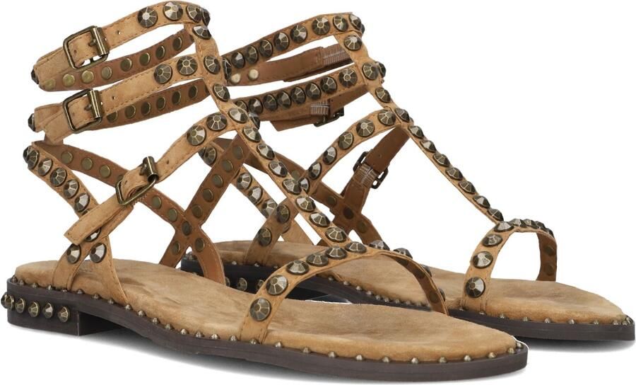 ASH Dames Play Maat: 39 Materiaal: Suède Kleur: Camel