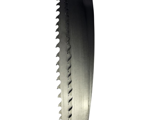 Norton Clipper zaagband 3850x27 mm