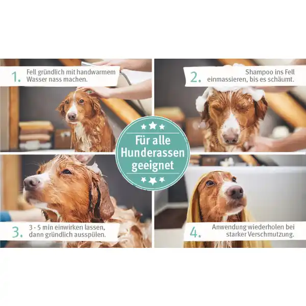 Fellharmonie Shampoo Kokos