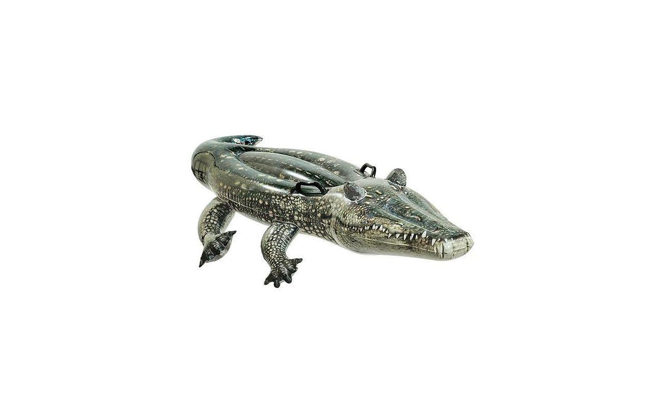 Realistische opblaasalligator 170x86cm