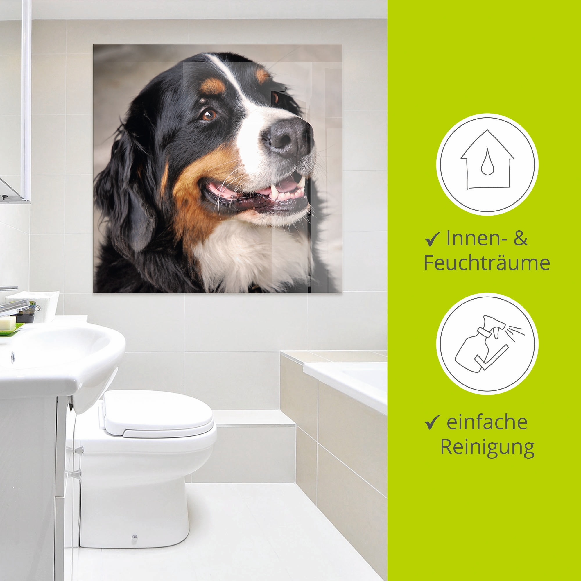 Artland Glasbild »Berner Sennenhund« Haustiere 1 Stk. tlg. in verschiedenen Grössen