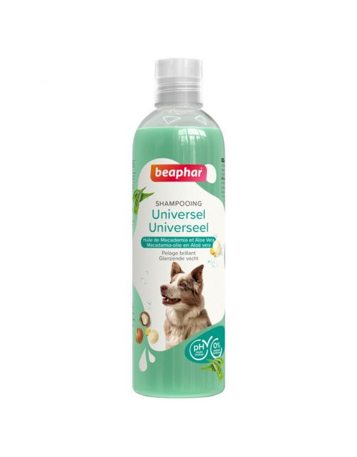 Beaphar Shampoo Universeel Hond - Hondenvachtverzorging