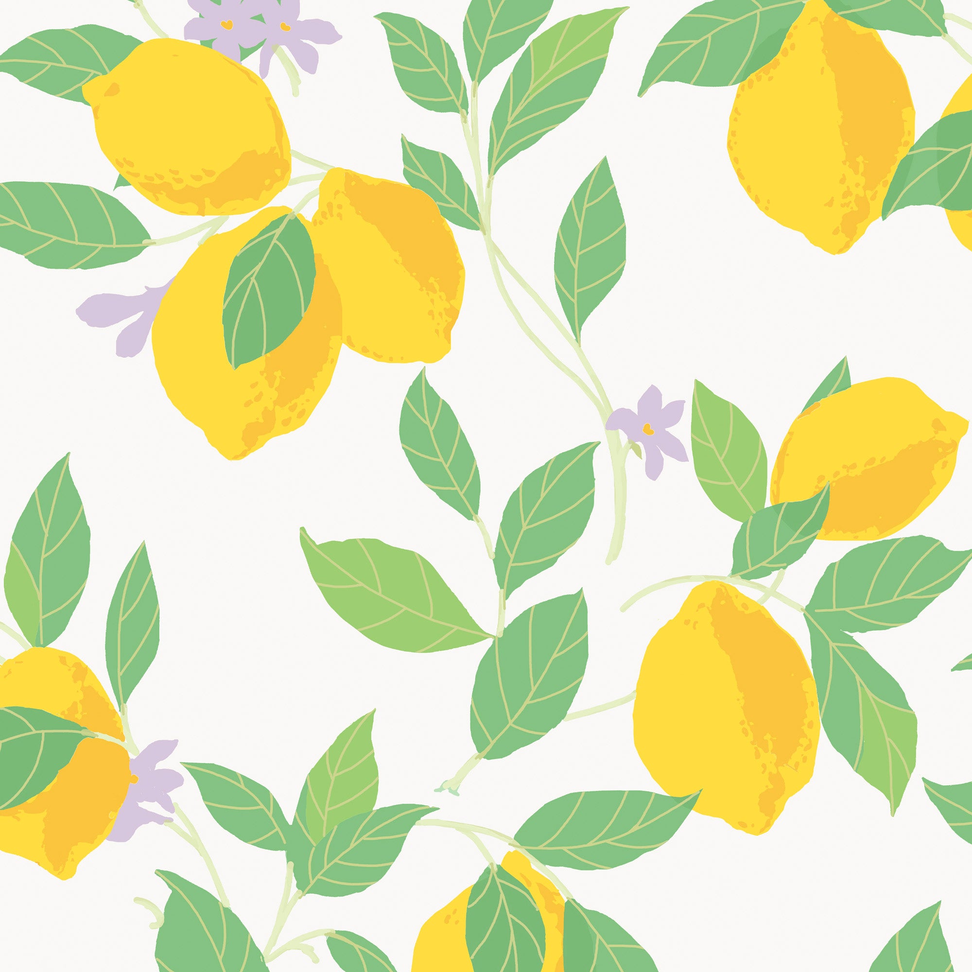 Envy vliesbehang Feeling Fruity Fresh wit 10mx52 cm