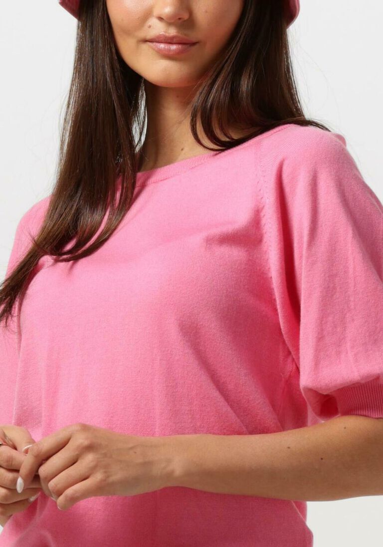 MSCH COPENHAGEN roze msch copenhagen top mscheslina rachelle 2/4 raglan pullover
