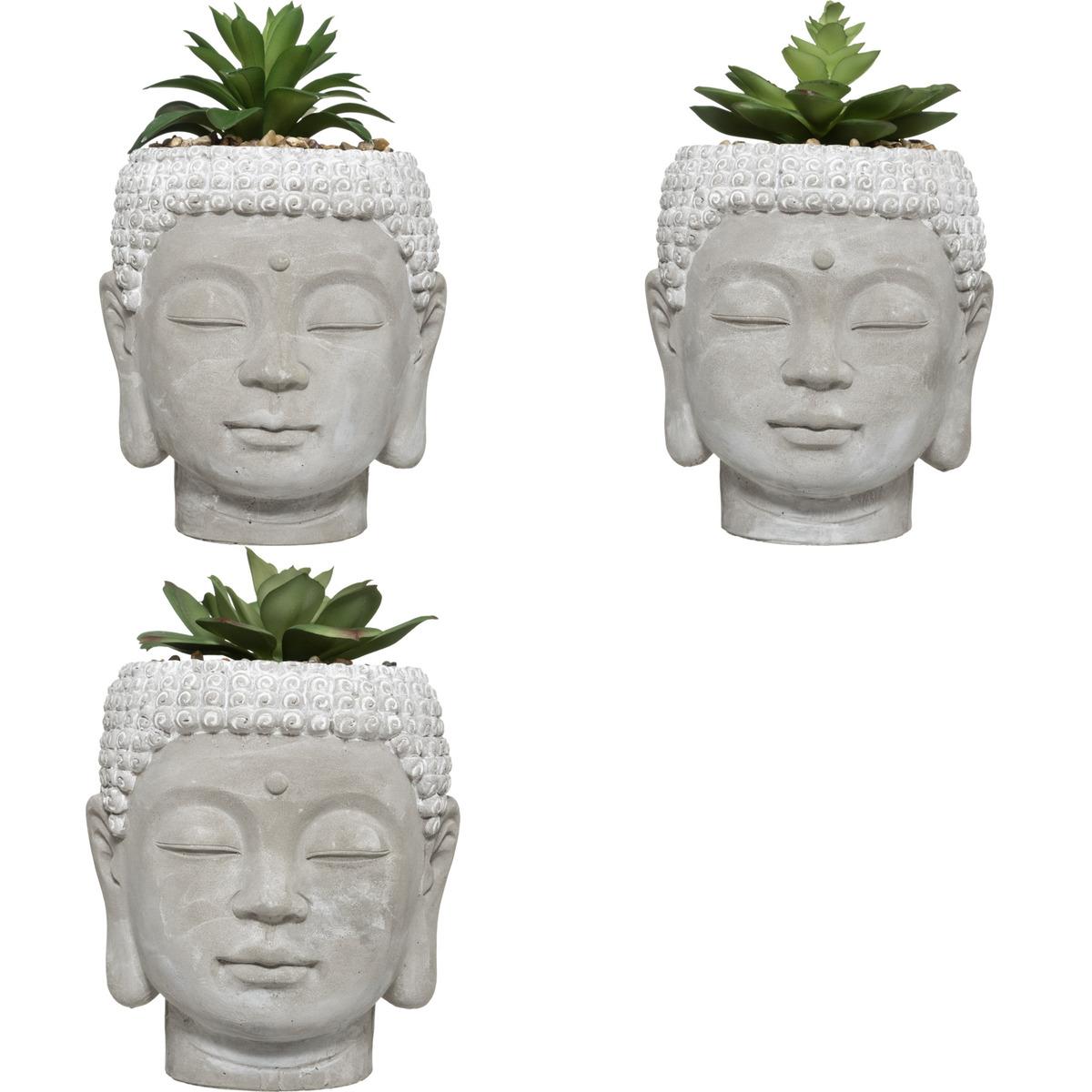 PLANTE GRASSE BOUDDHA CIMENT VIA H.13CM