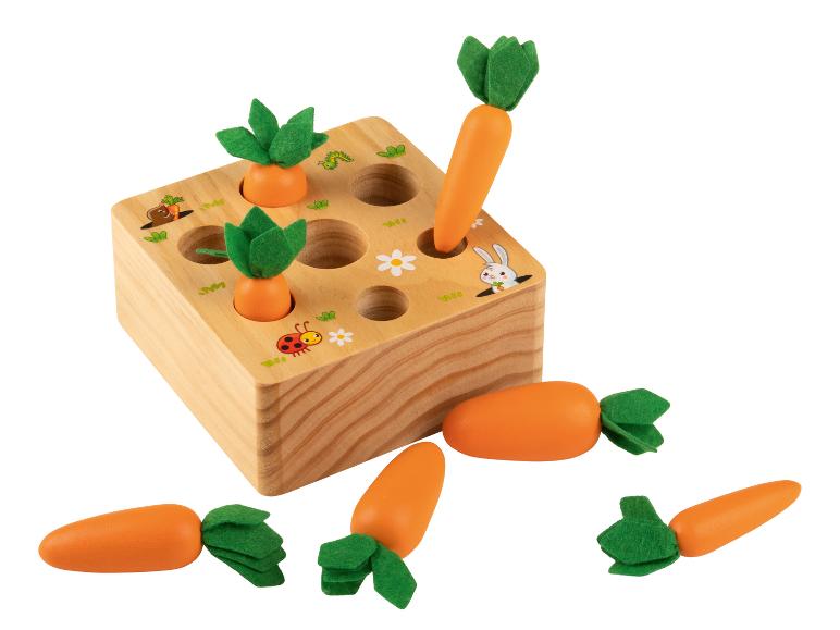 Houten motoriek speelgoed