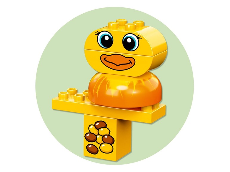 Speelset dierenkleuren