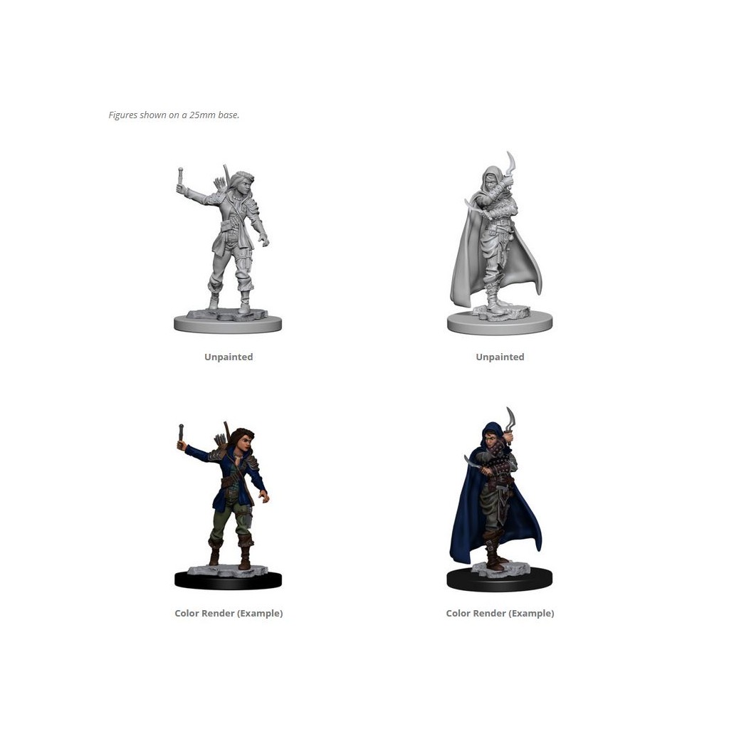 Pathfinder Deepcuts Unpainted Miniatures: Human Female Rogue