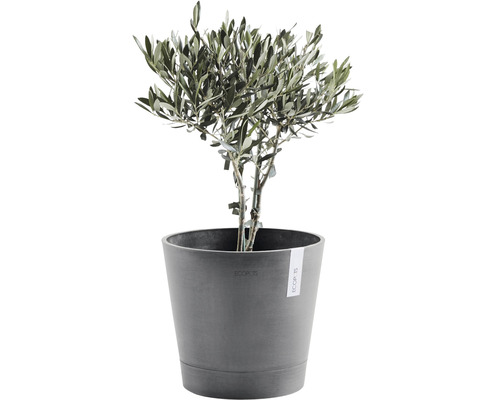Ecopots Venice kunststof plantenbak, Ø 40 cm, H 35 cm, grijs