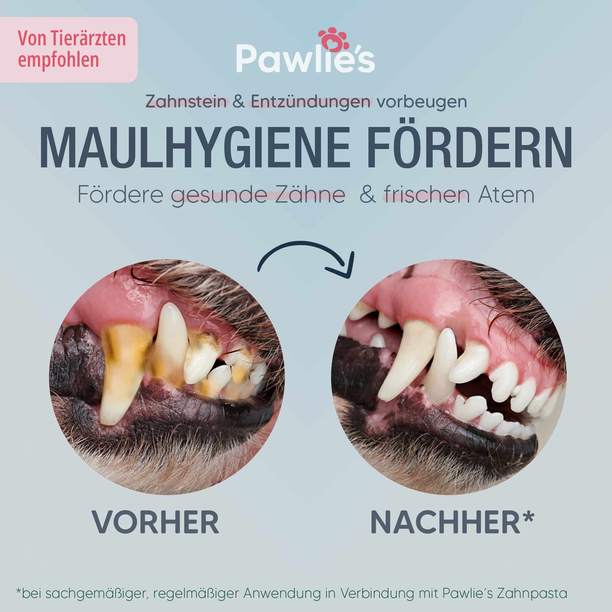 Pawlie's Zahnbürste Fingerling