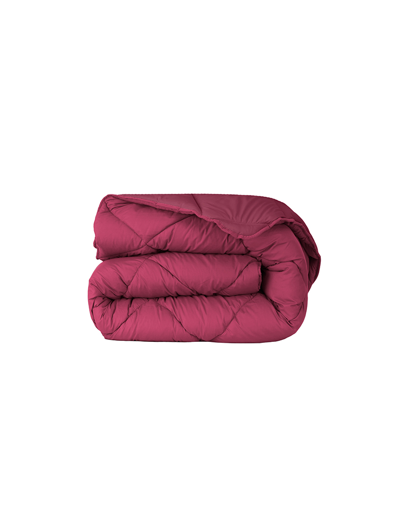 Bicolor Fuchsia Duvet